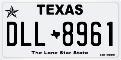 TX license plate DLL8961
