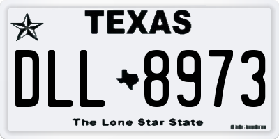 TX license plate DLL8973