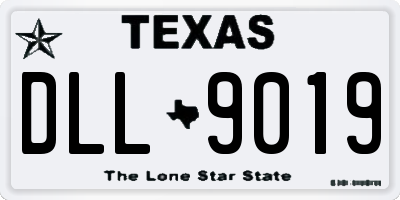 TX license plate DLL9019