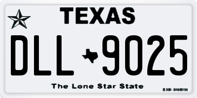 TX license plate DLL9025