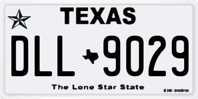 TX license plate DLL9029