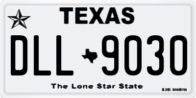 TX license plate DLL9030