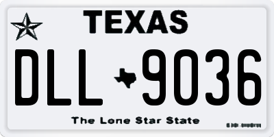 TX license plate DLL9036