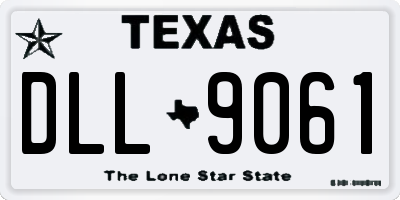 TX license plate DLL9061