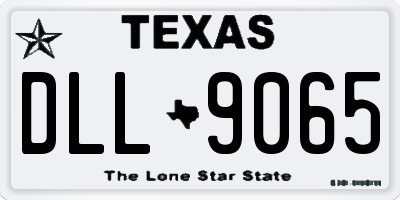TX license plate DLL9065
