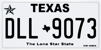 TX license plate DLL9073