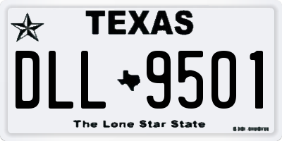 TX license plate DLL9501