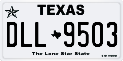 TX license plate DLL9503