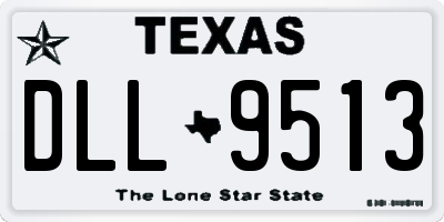 TX license plate DLL9513