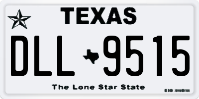 TX license plate DLL9515