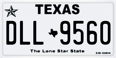TX license plate DLL9560