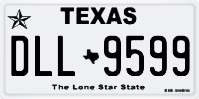 TX license plate DLL9599