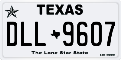 TX license plate DLL9607