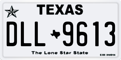 TX license plate DLL9613