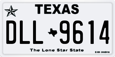 TX license plate DLL9614