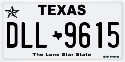 TX license plate DLL9615
