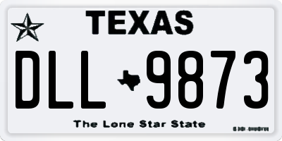TX license plate DLL9873