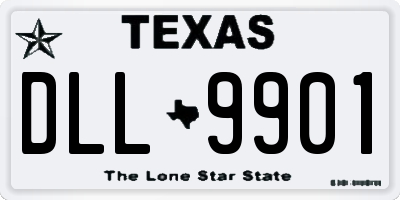 TX license plate DLL9901
