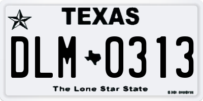 TX license plate DLM0313