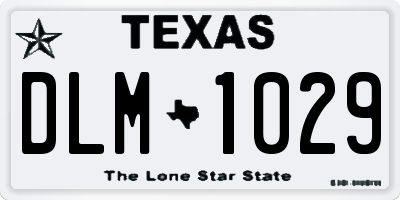 TX license plate DLM1029