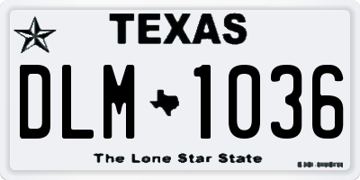TX license plate DLM1036