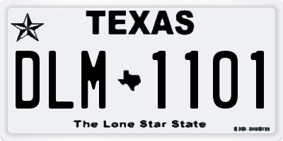 TX license plate DLM1101