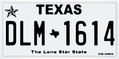 TX license plate DLM1614