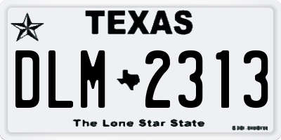 TX license plate DLM2313