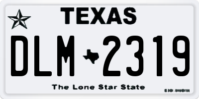 TX license plate DLM2319