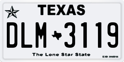 TX license plate DLM3119