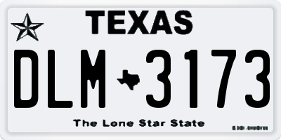 TX license plate DLM3173