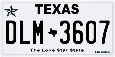 TX license plate DLM3607