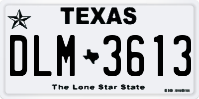TX license plate DLM3613
