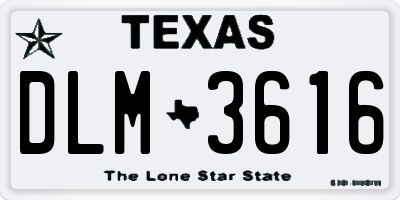 TX license plate DLM3616