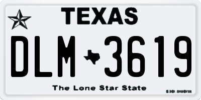 TX license plate DLM3619
