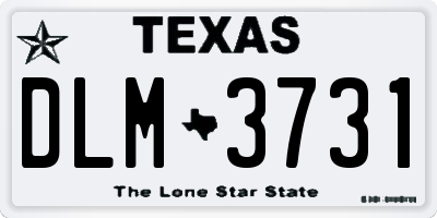 TX license plate DLM3731