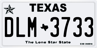 TX license plate DLM3733