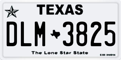 TX license plate DLM3825