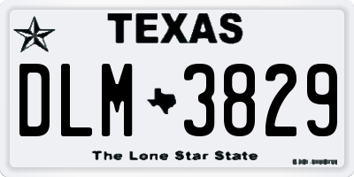 TX license plate DLM3829