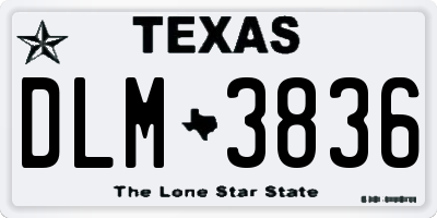 TX license plate DLM3836