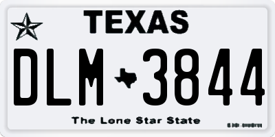 TX license plate DLM3844