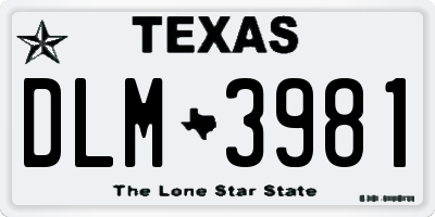 TX license plate DLM3981