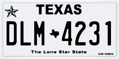 TX license plate DLM4231