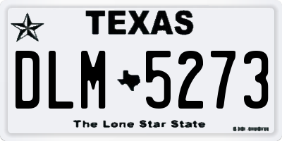 TX license plate DLM5273