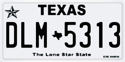 TX license plate DLM5313