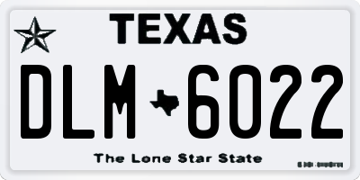 TX license plate DLM6022