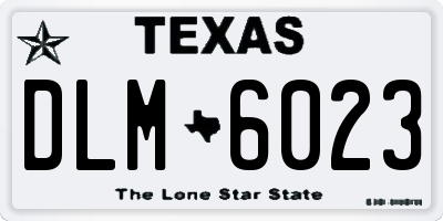 TX license plate DLM6023