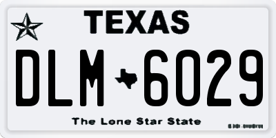 TX license plate DLM6029