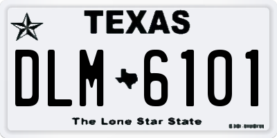 TX license plate DLM6101