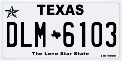 TX license plate DLM6103